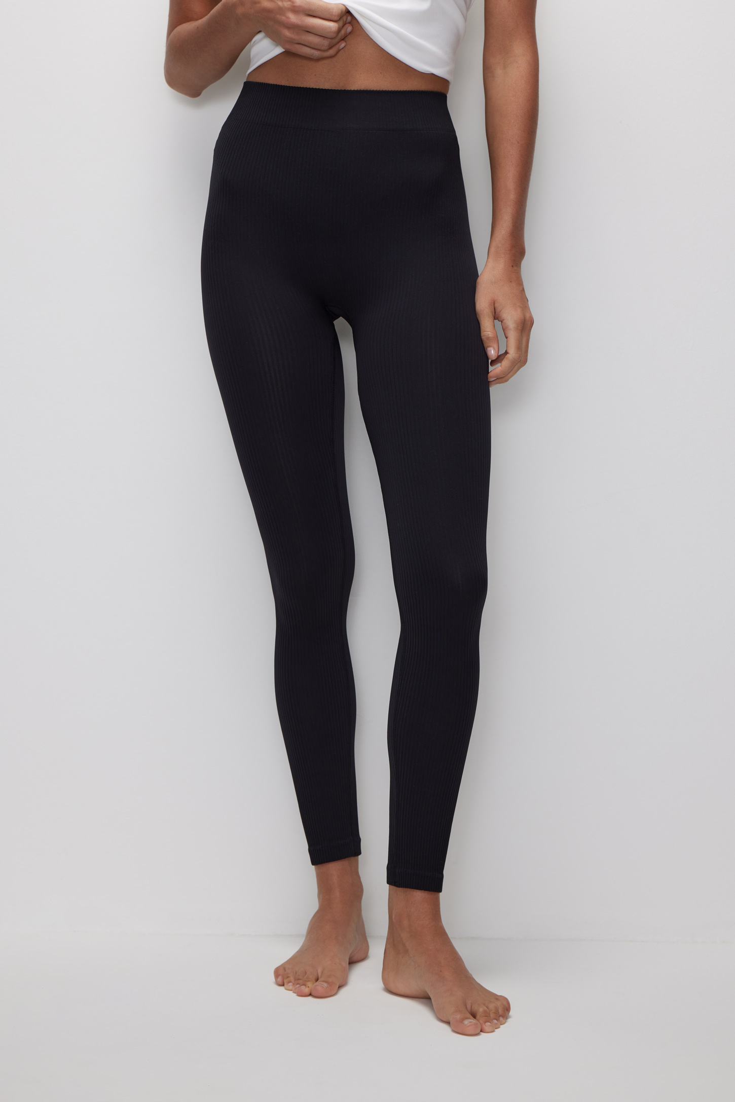 Seamless ribbed leggings Base